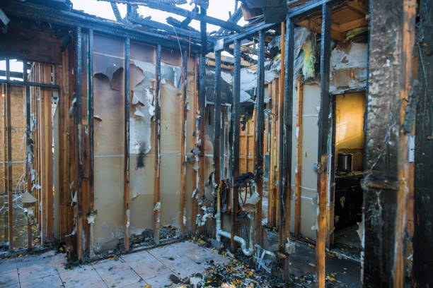 Professional Fire Damage Removal technician working in Pahoa, HI